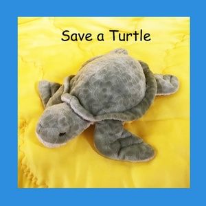 Among Our Beautiful Oceans